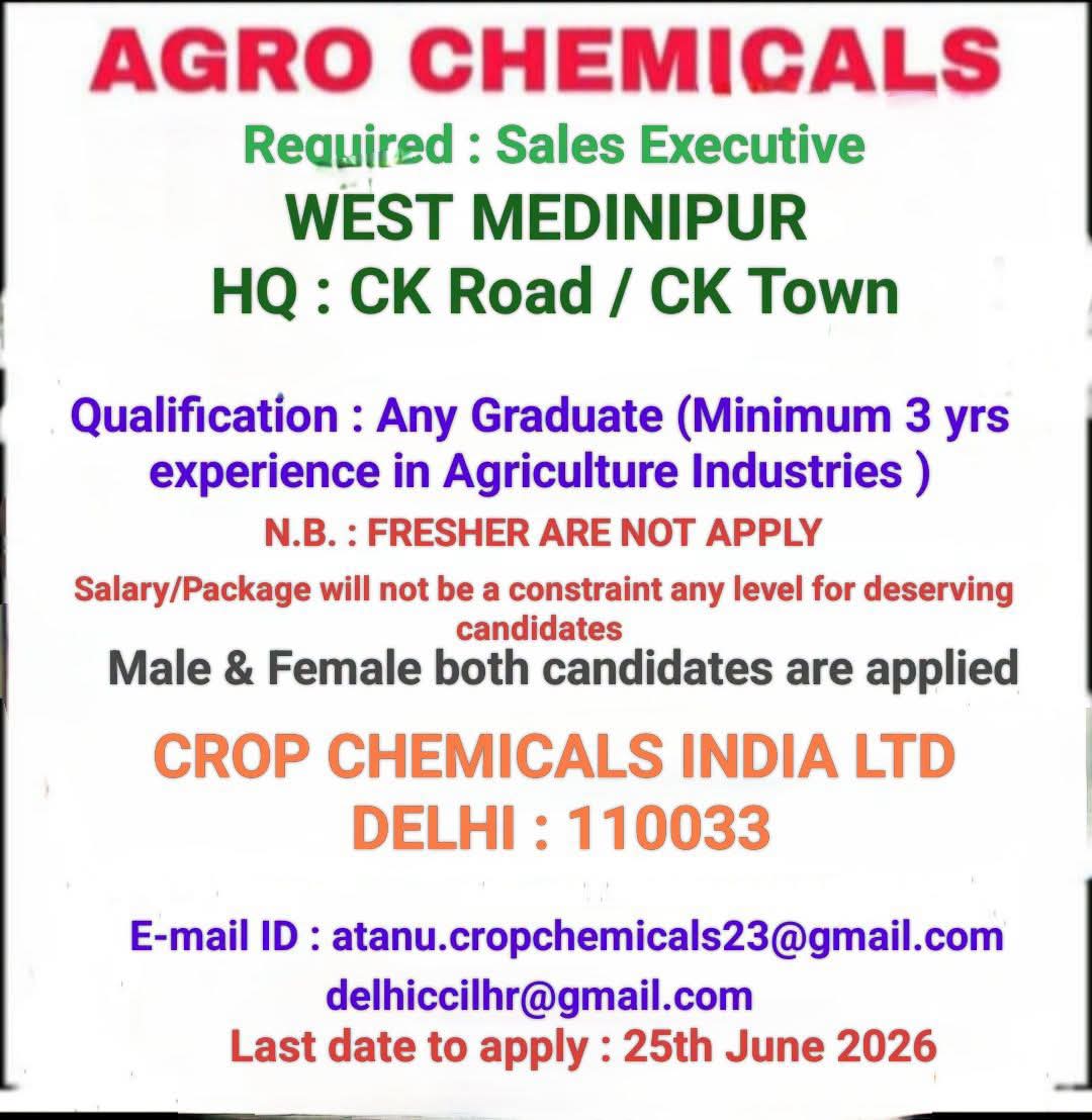 Job for any graduate