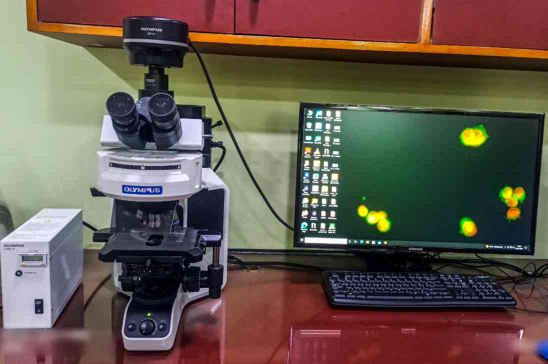 24 / 51 , Immunofluorescence Microscope