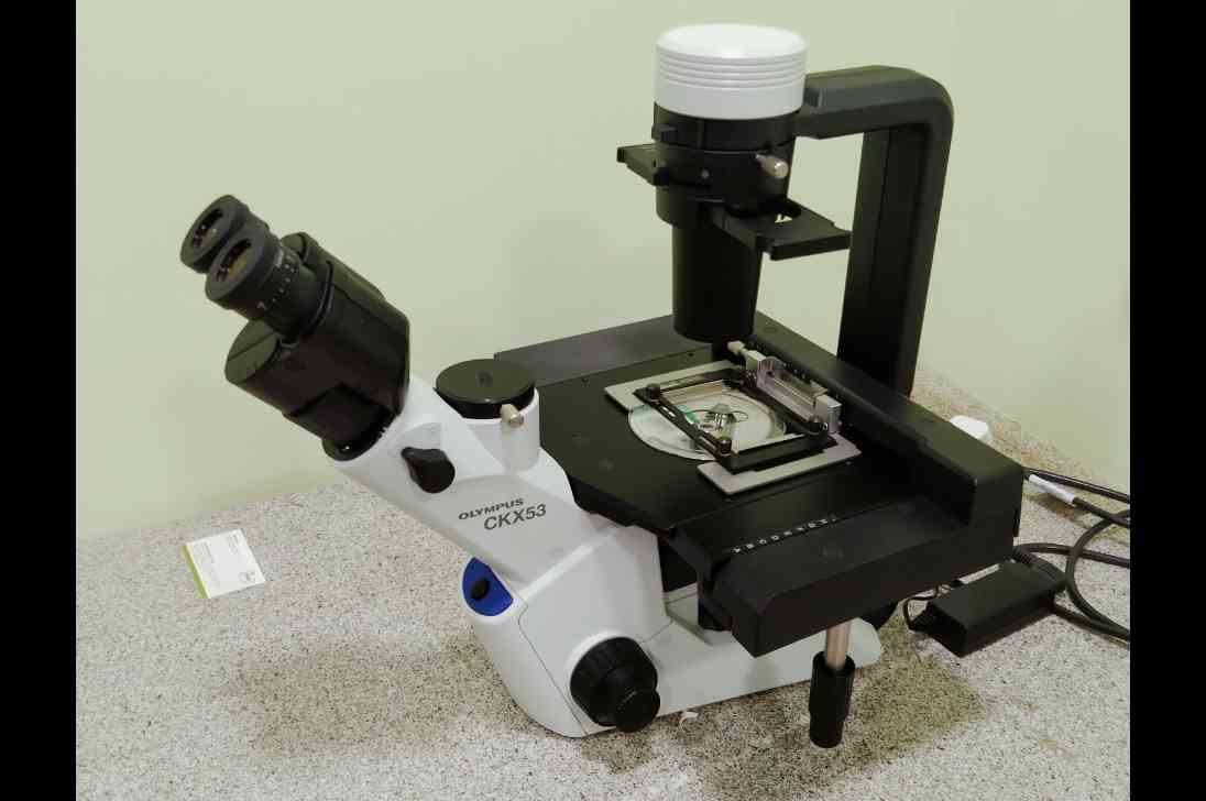 18 / 51 , Inverted Microscope